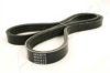 ASHIKA 112-4PK875 V-Ribbed Belts